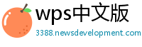 wps中文版